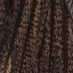 Whiting Coq De Leon Rooster Saddles