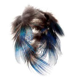 FFGene halsfjädrar från påfågel – Blue