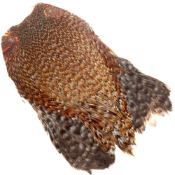 FFGene India Cock Cape Class AA