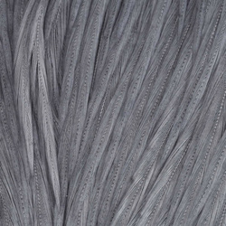 Wapsi Dry Fly Neck Hackle Mini Pack