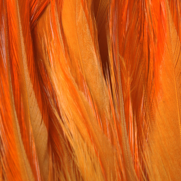 FFGene Strung Saddles Hackle