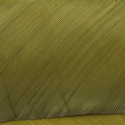 Hareline kalkonbiots