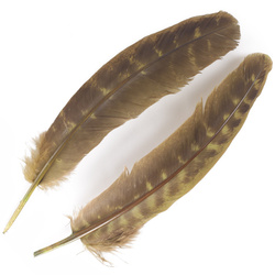 FFGene vingpennor från kalkon Ozark