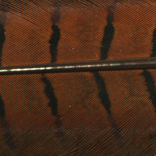 Hareline Dyed Ringneck Pheasant Tail Clump
