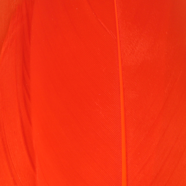 Hareline Select Goose Shoulder