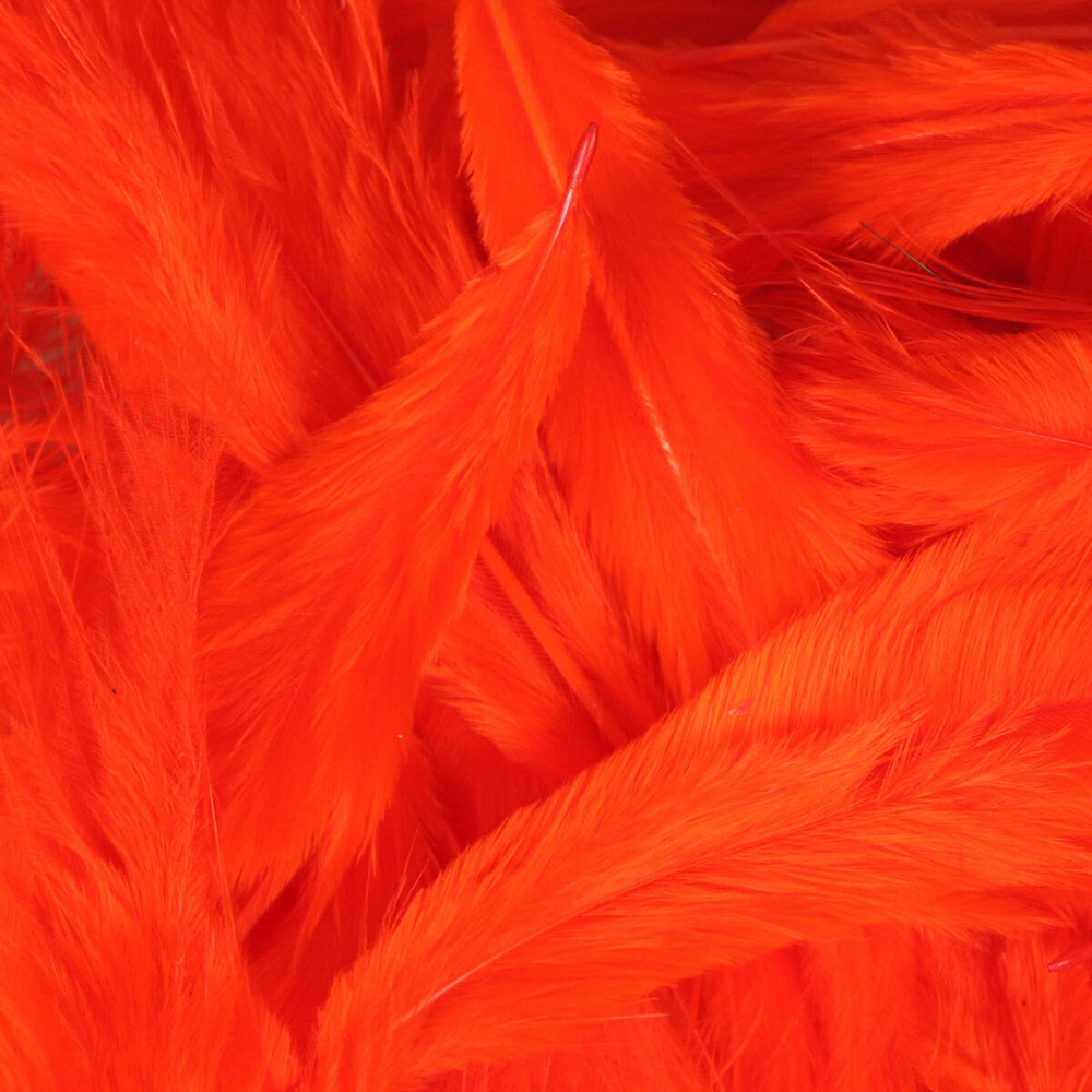 Hot Orange