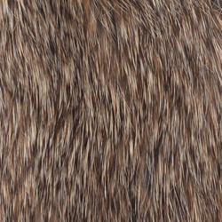 Wapsi Rabbit Whole Skin