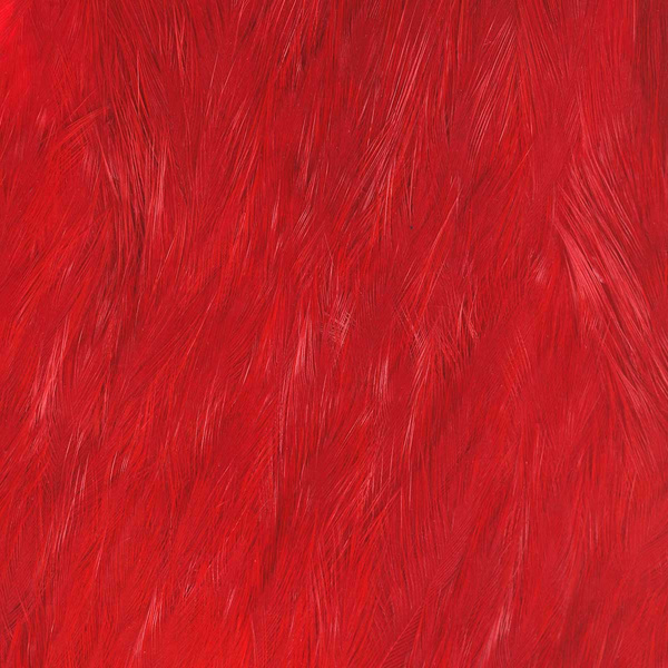 FFGene India Hen Capes