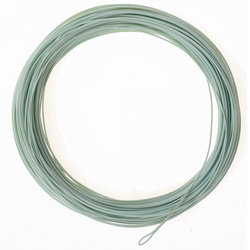 Negnon Omega Orionis Ultra Thin