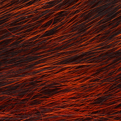 Wapsi Squirrel Tail