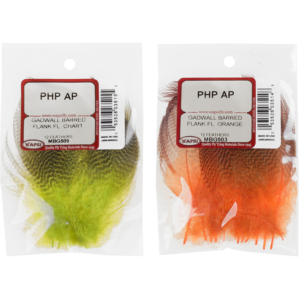 Wapsi bandade flankfjädrar från snatterand
