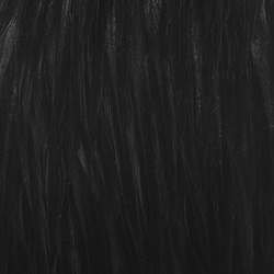 Wapsi Dry Fly Rooster Necks