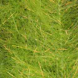 H2O Flash Blend Baitfish Brush 1 inch (flash)