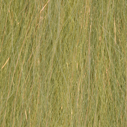 H2O Sculpting Flash Fibre