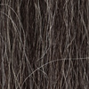 Golden Gray