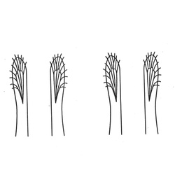 J:Son Wing Material Caddis Pupa/Midge/Hopper