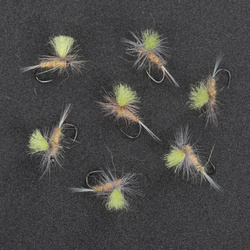 Parachute Poly Wings Tan