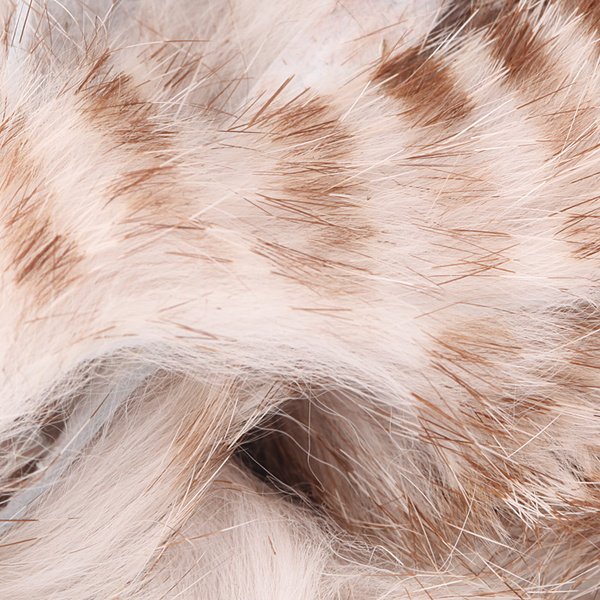 Barred Magnum-zonkerremsor av kanin – Hareline
