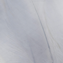 FFGene Goose Shoulders