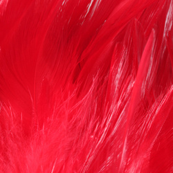 FFGene Strung Saddles Hackle