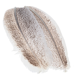 Wapsi Turkey Wing Quill Mottled