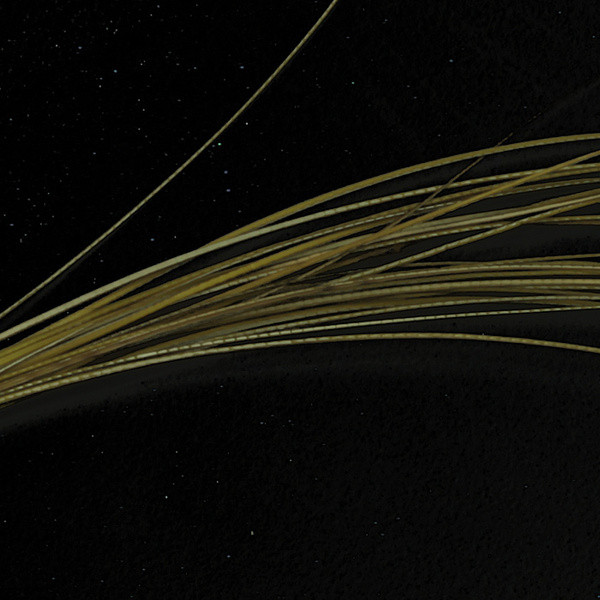 Hareline quill för flugkroppar