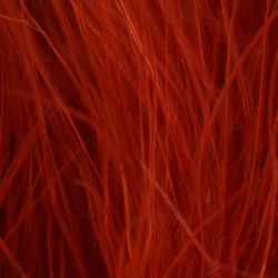 FFGene Wooly Bugger Maraboufjädrar (Blood Quill) (7-10 cm)