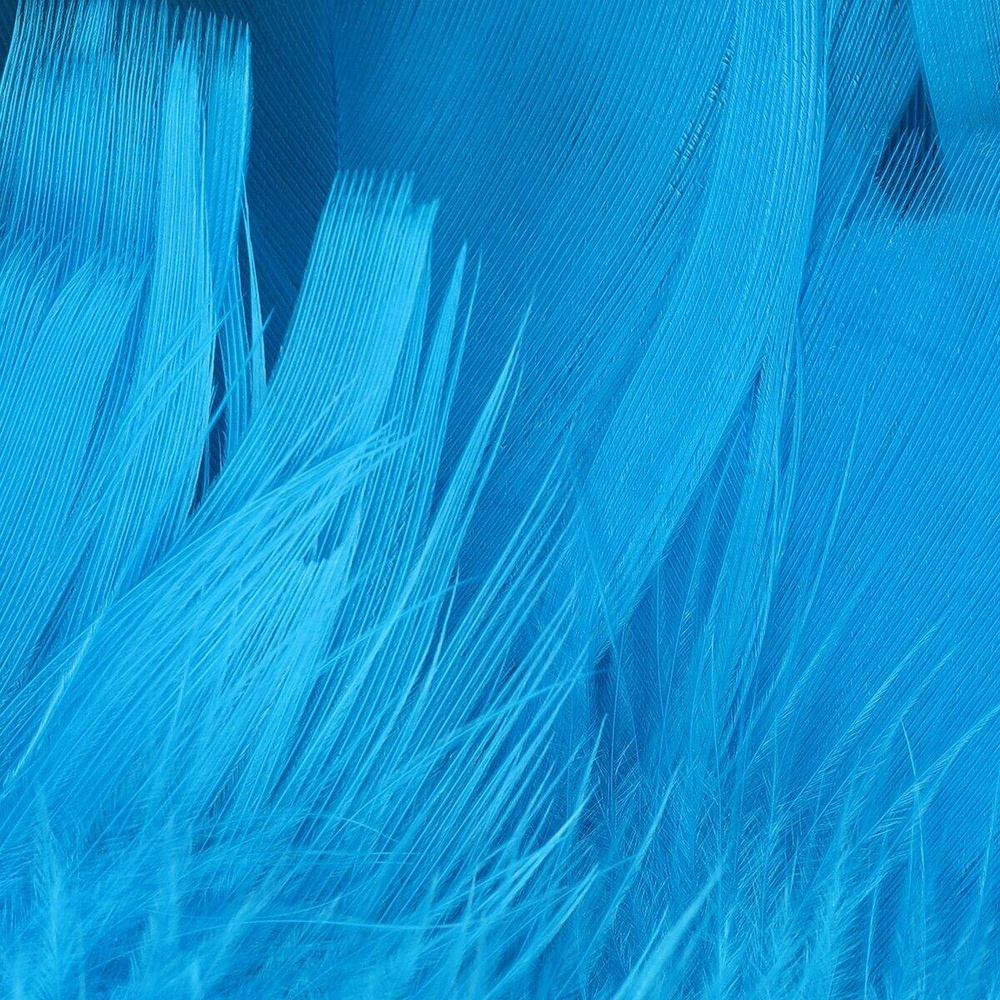 Kingfisher Blue