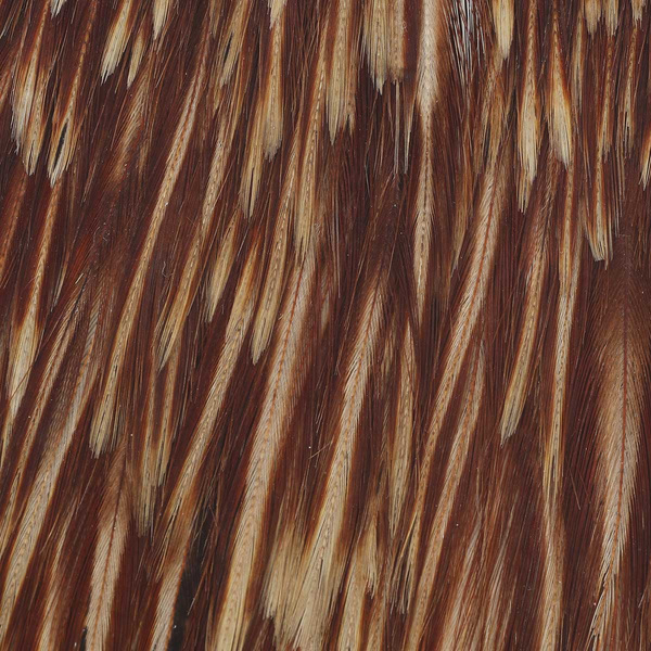Wapsi Dry Fly Rooster Necks
