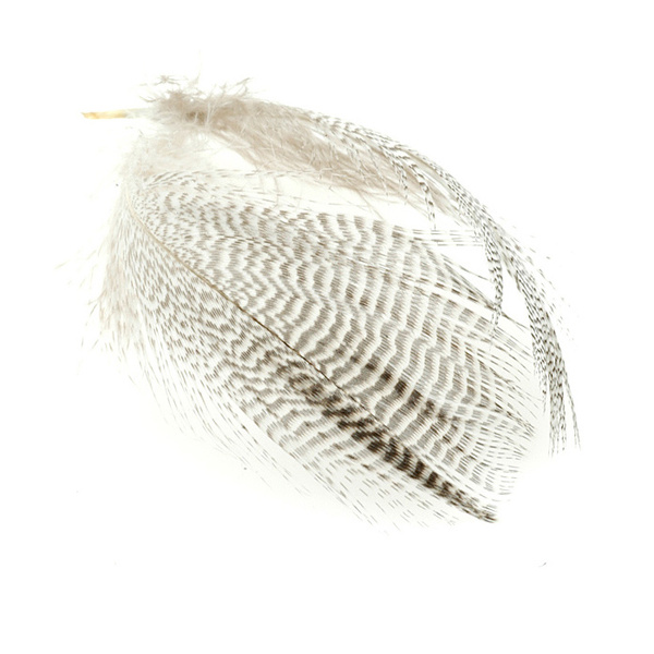 FFGene flankfjädrar från kricka