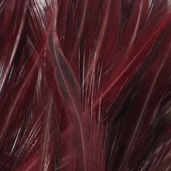 FFGene Strung Saddles Hackle