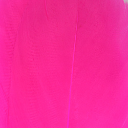 Hareline Select Goose Shoulder