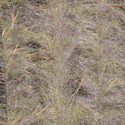 H2O Streamer Brush 1/2 inch (flash)