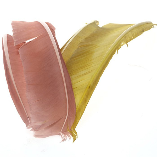 Hareline kalkonbiots