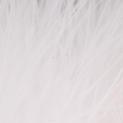 FFGene Wooly Bugger Maraboufjädrar (Blood Quill) (7-10 cm)