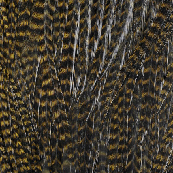 Ewing Grizzly Whole Saddles