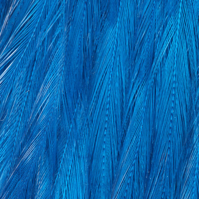 Silver Droctor Blue