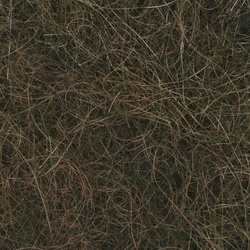 Sybai Nymph SLF