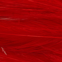 Hareline Saltwater Neck Hackle