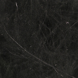 Wapsi Bulk Pack C.D.C. Cul-De-Canard