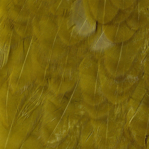 Wapsi Hen Saddle Patches