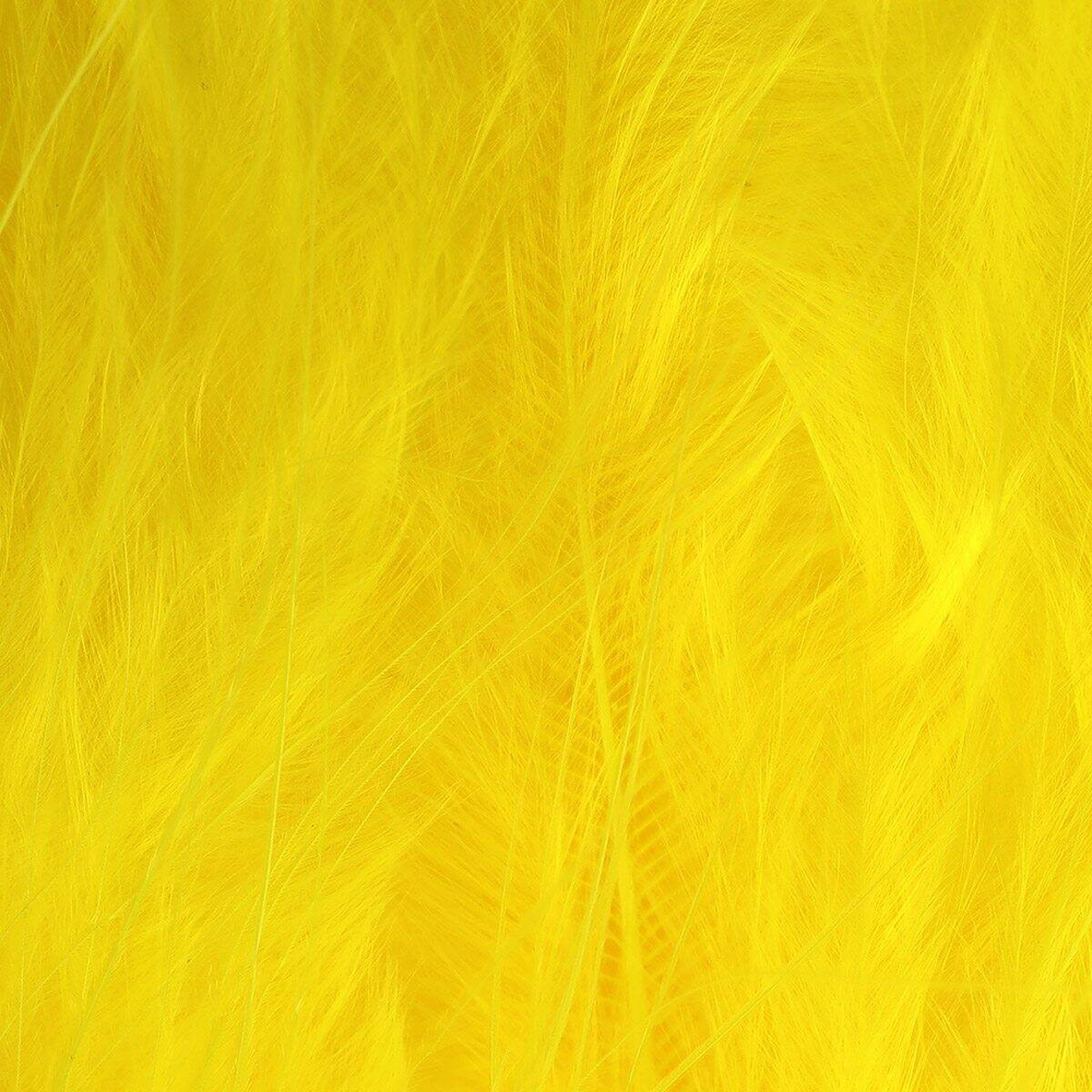 Fl. Yellow