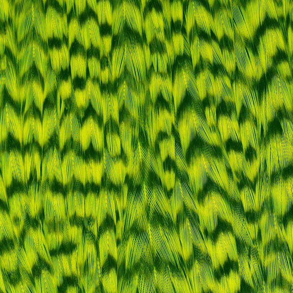 Ewing Grizzly Whole Capes