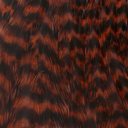 Wapsi Grizzly Hen Neck