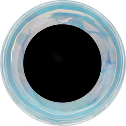 Bindögon FFGene Soft 3D- Eyes