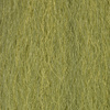 Wild Olive