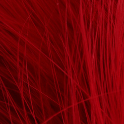FFGene Wooly Bugger Marabou (Blood Quill) (7-10 cm)