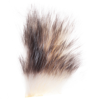 Wapsi pälsbit av opossum