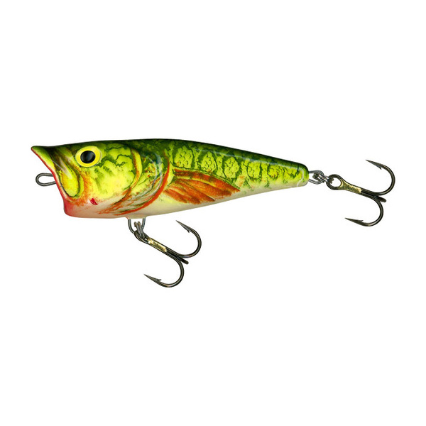 Salmo Popper