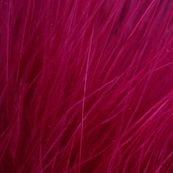 FFGene Extra Large maraboufjädrar (Blood Quill) (12-15cm)